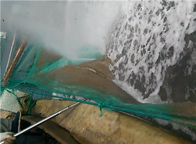 1562029181181281.png 高壓清洗機(jī),進(jìn)口高壓清洗機(jī),高壓清洗機(jī)價(jià)格,超高壓清洗機(jī)