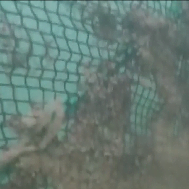 高壓清洗機,進口高壓清洗機,高壓清洗機價格,超高壓清洗機 高壓清洗機,進口高壓清洗機,高壓清洗機價格,超高壓清洗機