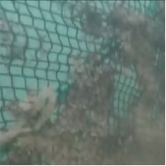 高壓清洗機,進口高壓清洗機,高壓清洗機價格,超高壓清洗機 高壓清洗機,進口高壓清洗機,高壓清洗機價格,超高壓清洗機