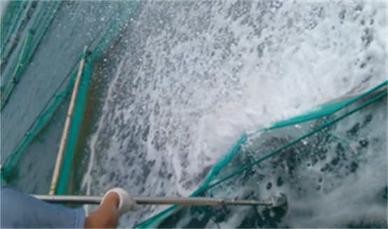 高壓清洗機,進口高壓清洗機,高壓清洗機價格,超高壓清洗機 高壓清洗機,進口高壓清洗機,高壓清洗機價格,超高壓清洗機